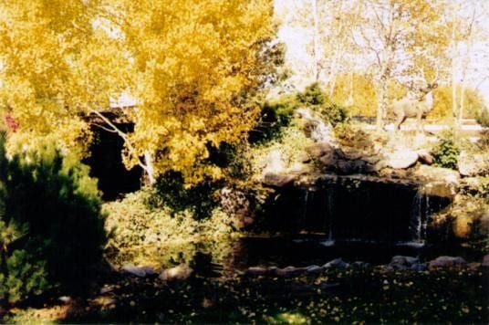 Waterfall cascading into a pond, surrounded by trees with autumn foliage and green shrubs.