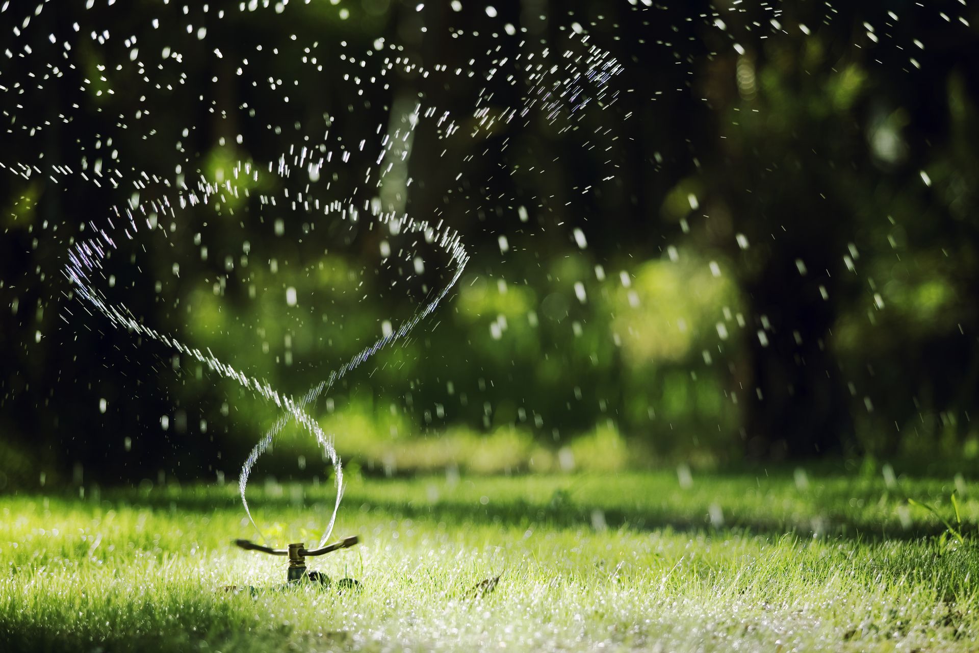 Sprinkler watering a green lawn on a sunny day; water arcs and sprays in the air.
