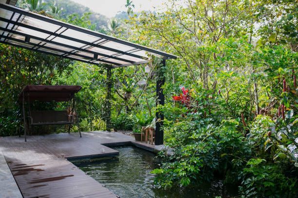 A shaded patio with a swing overlooks a pond surrounded by lush green plants.