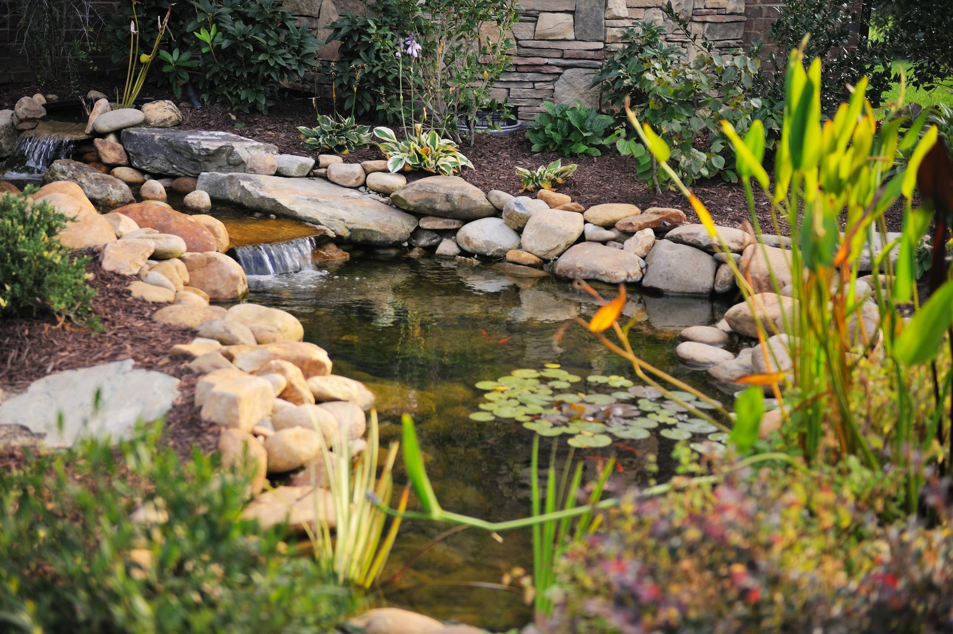 A small pond with a waterfall and water lilies, surrounded by rocks and plants.