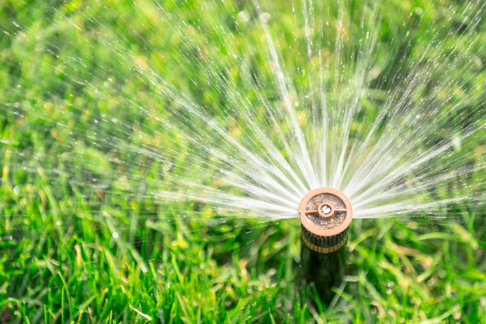 Sprinkler spraying water onto green grass in a yard.