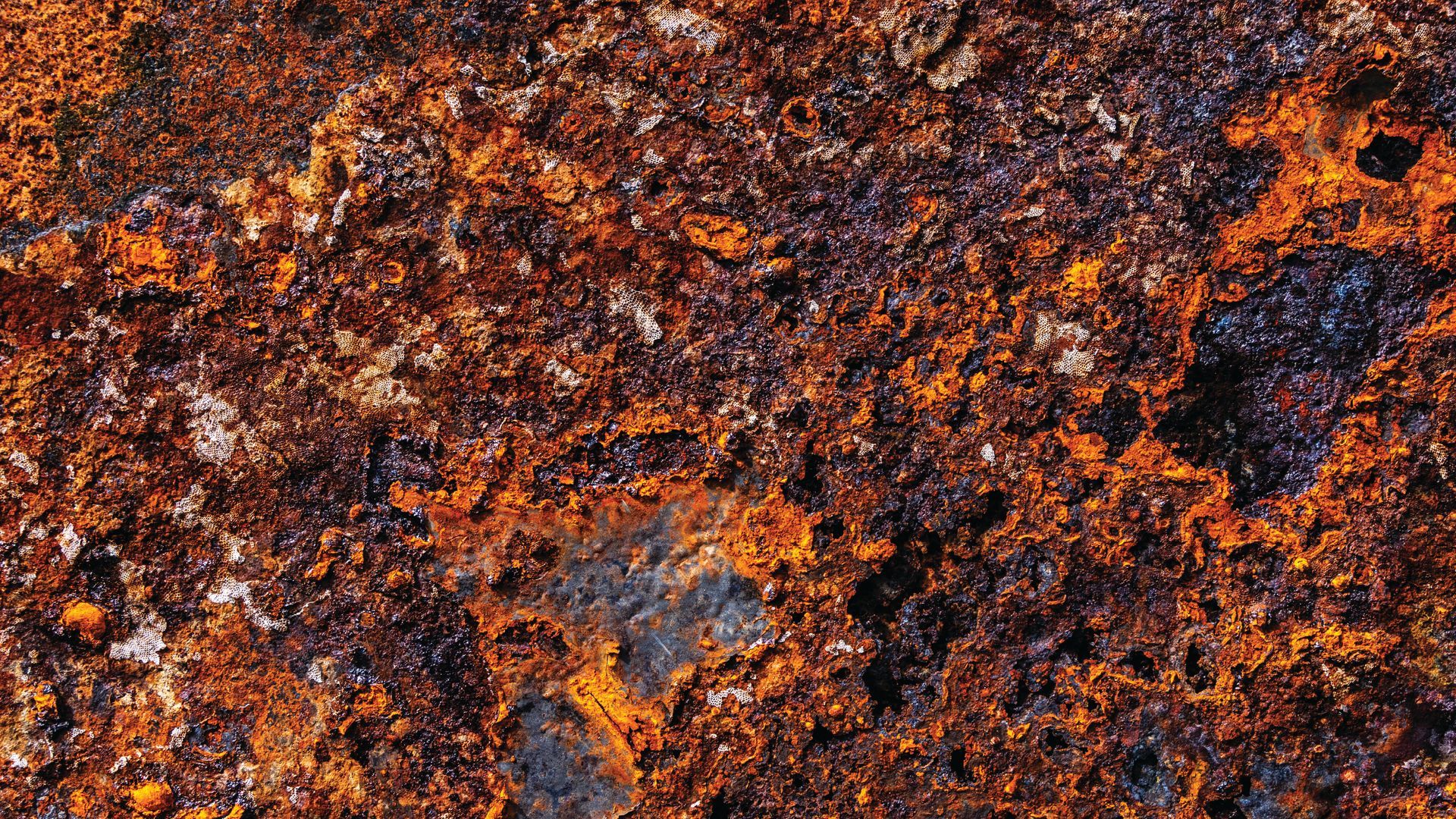 corrosion inhibitors designed for drilling fluids with a high compatibility and stability in HTHP.