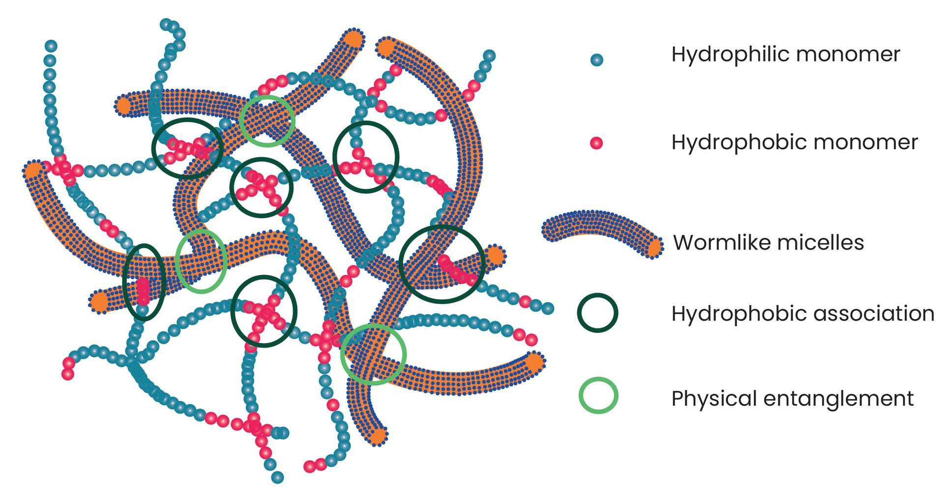 gelling agent monomer design 