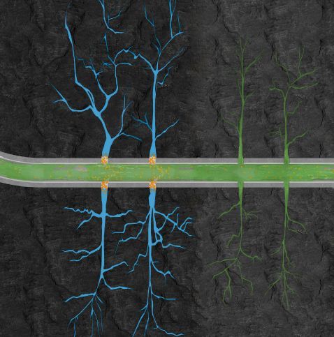 DosVesta™ 201 Diverting Agent