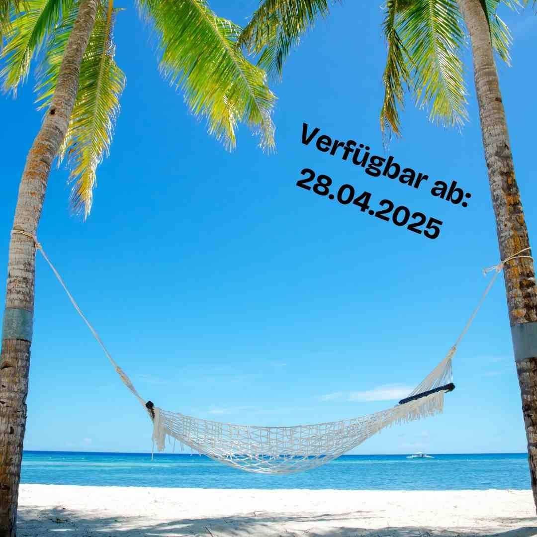 Ein Bild von einem Strand mit einer Hängematte, die zwischen Palmen hängt.