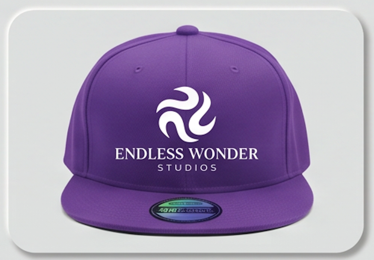 Endless Wonder Studios purple snapback hat — EWS official hat collection