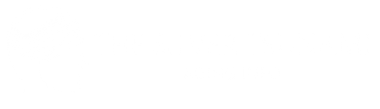 Silver Tsunami Aging Info Header/Footer graphic