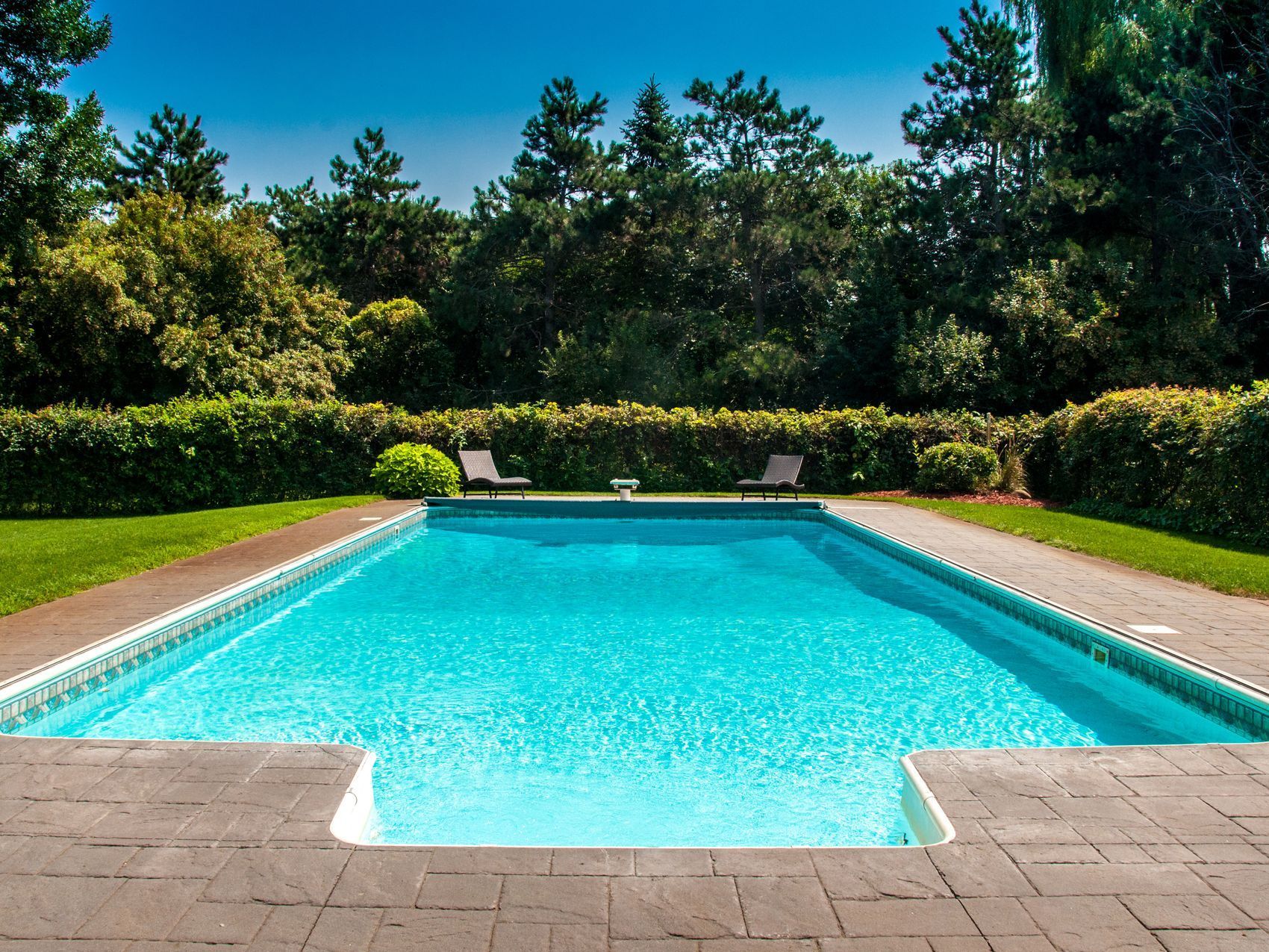 A large swimming pool surrounded by trees and bushes on a sunny day