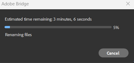 A screenshot of adobe bridge estimated time remaining 3 minutes and 6 seconds.