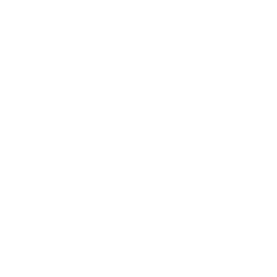 Dell logo