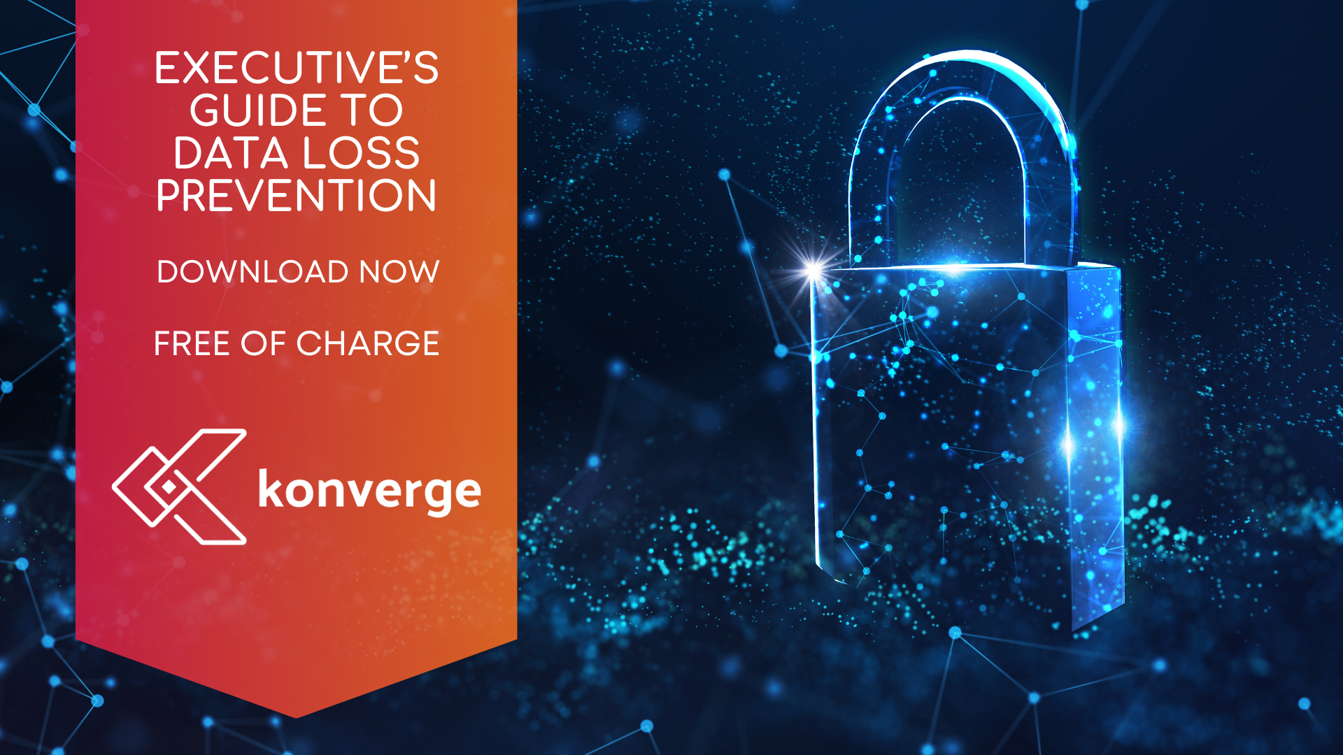 Executive's Guide to Data Loss Prevention