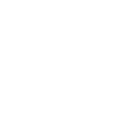 White VMware Logo