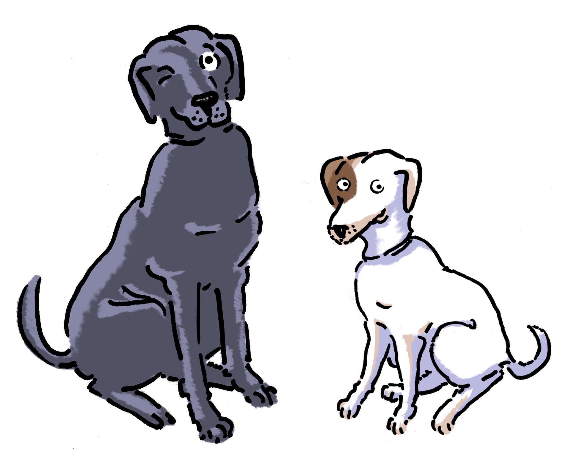 Kiwi en Bowie getekend