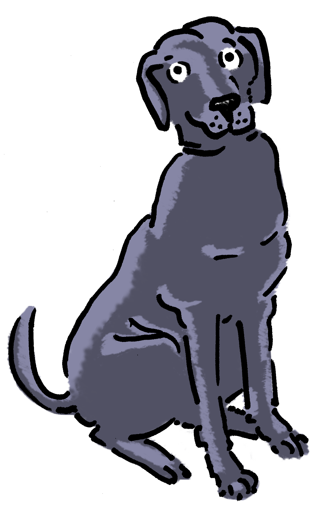 Zwarte labrador zit met grote ogen omhoog te kijken.