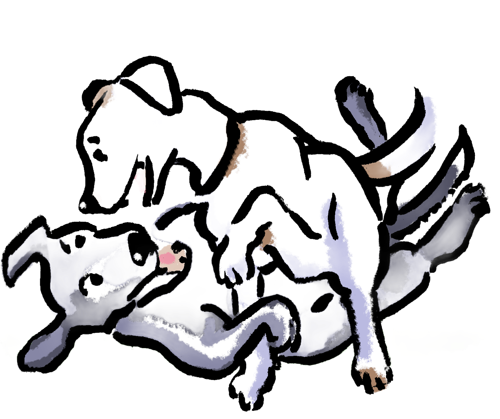 Kiwi en Bowie – honden die verhalen schrijven over mensen