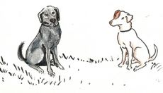 kiwi en Bowie getekend