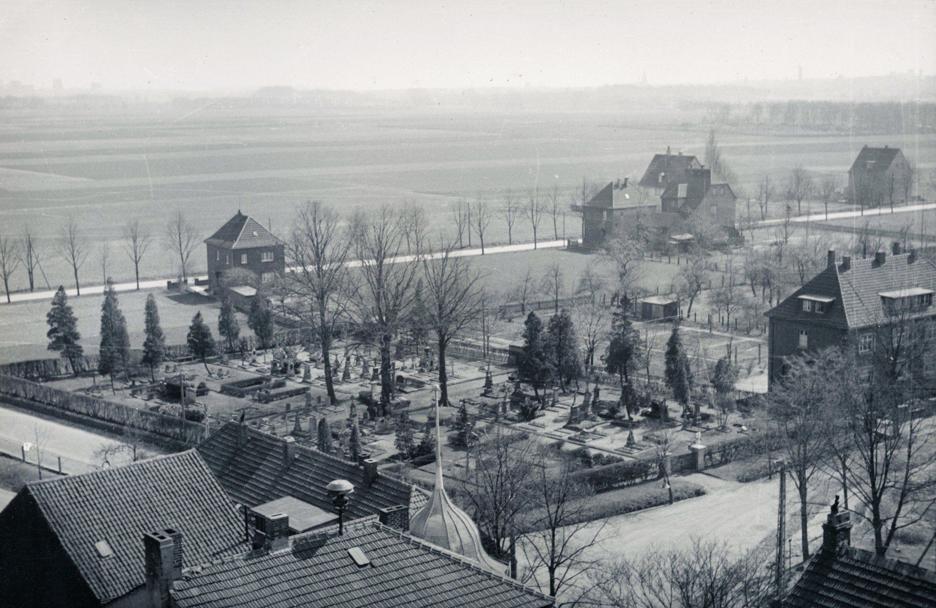 1954