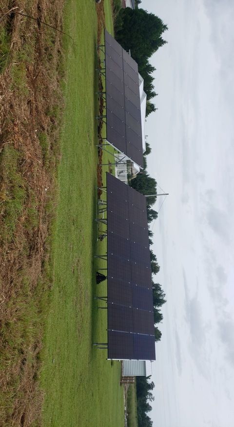 A row of solar panels sitting on top of a lush green field.