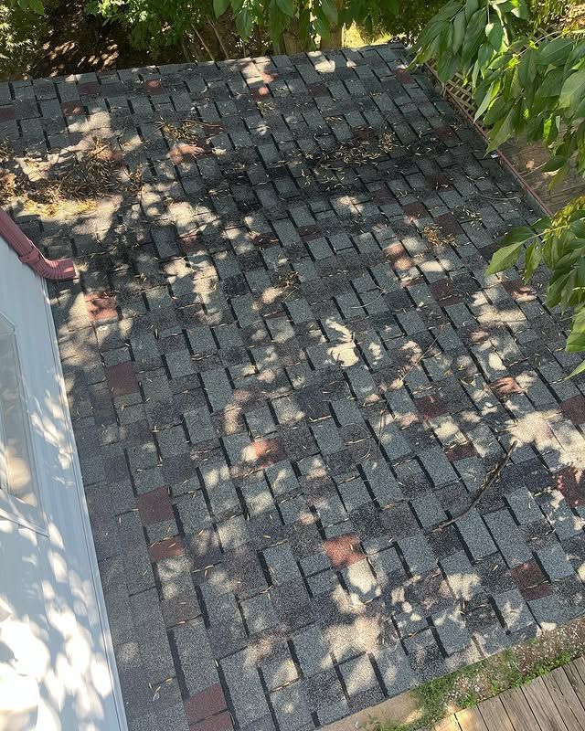 A brick walkway with a tree in the background