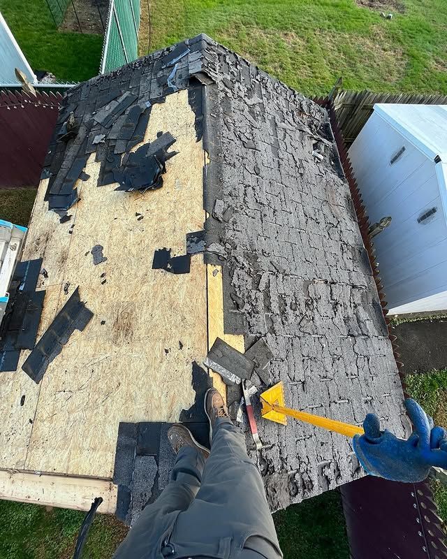 A person is holding a hammer on top of a roof.