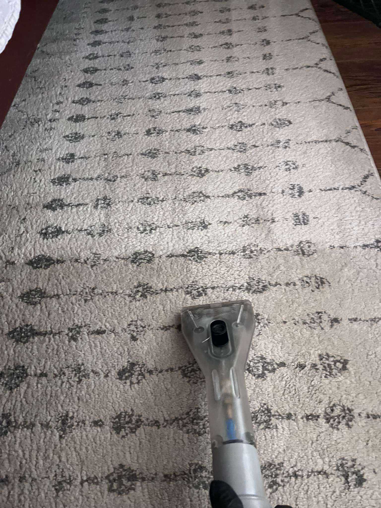 Carpet being cleaned with a handheld machine. Gray and cream rug with black pattern.