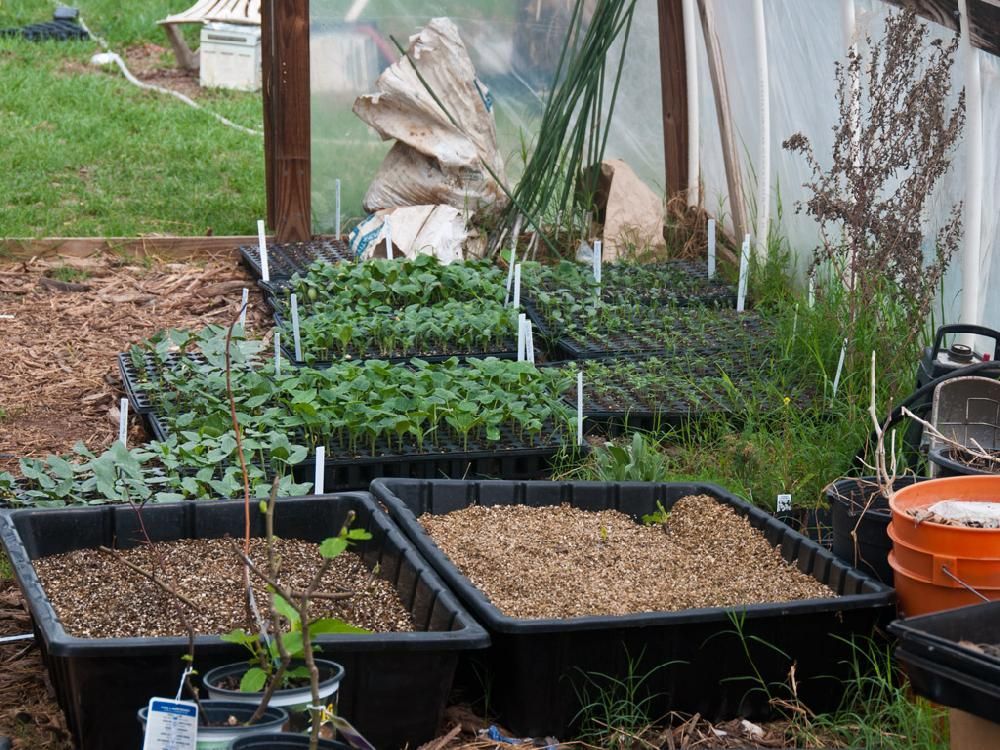 A greenhouse filled with lots of potted plants