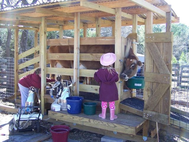 Cox Family Farm photo 5