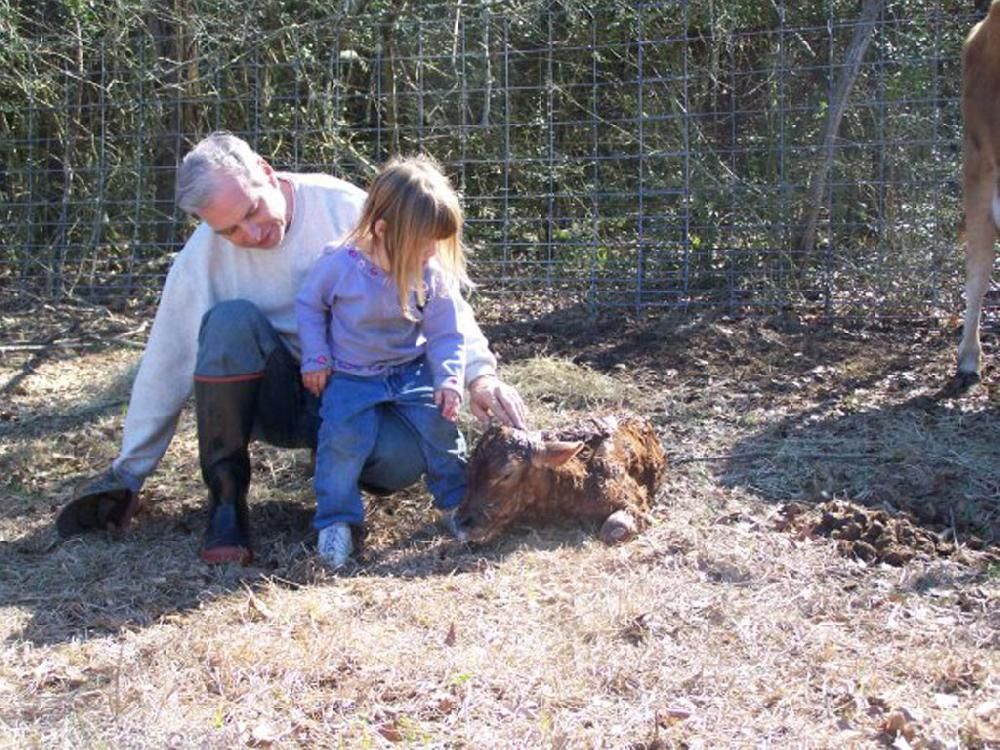 A man and a little girl are playing with a dog