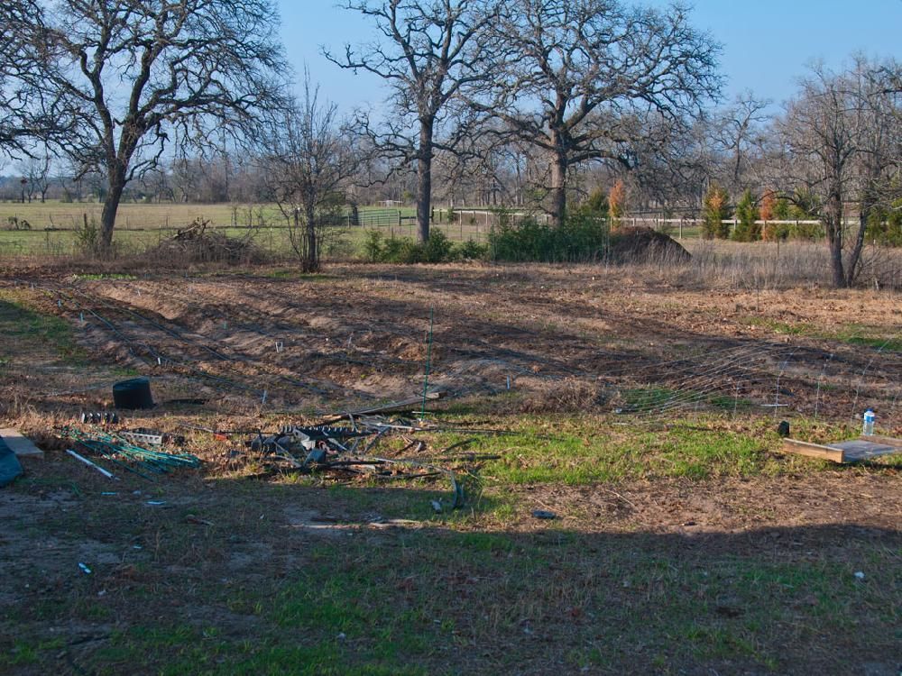 A large empty field with trees in the background
