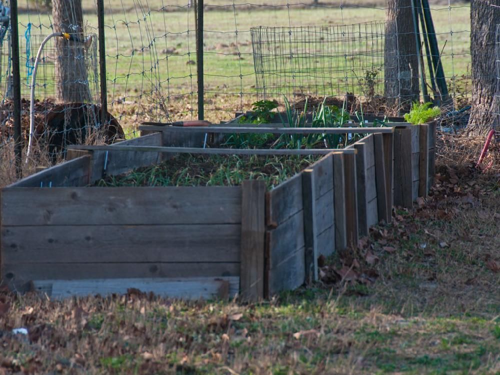 A wooden raised garden bed with a fence in the background.