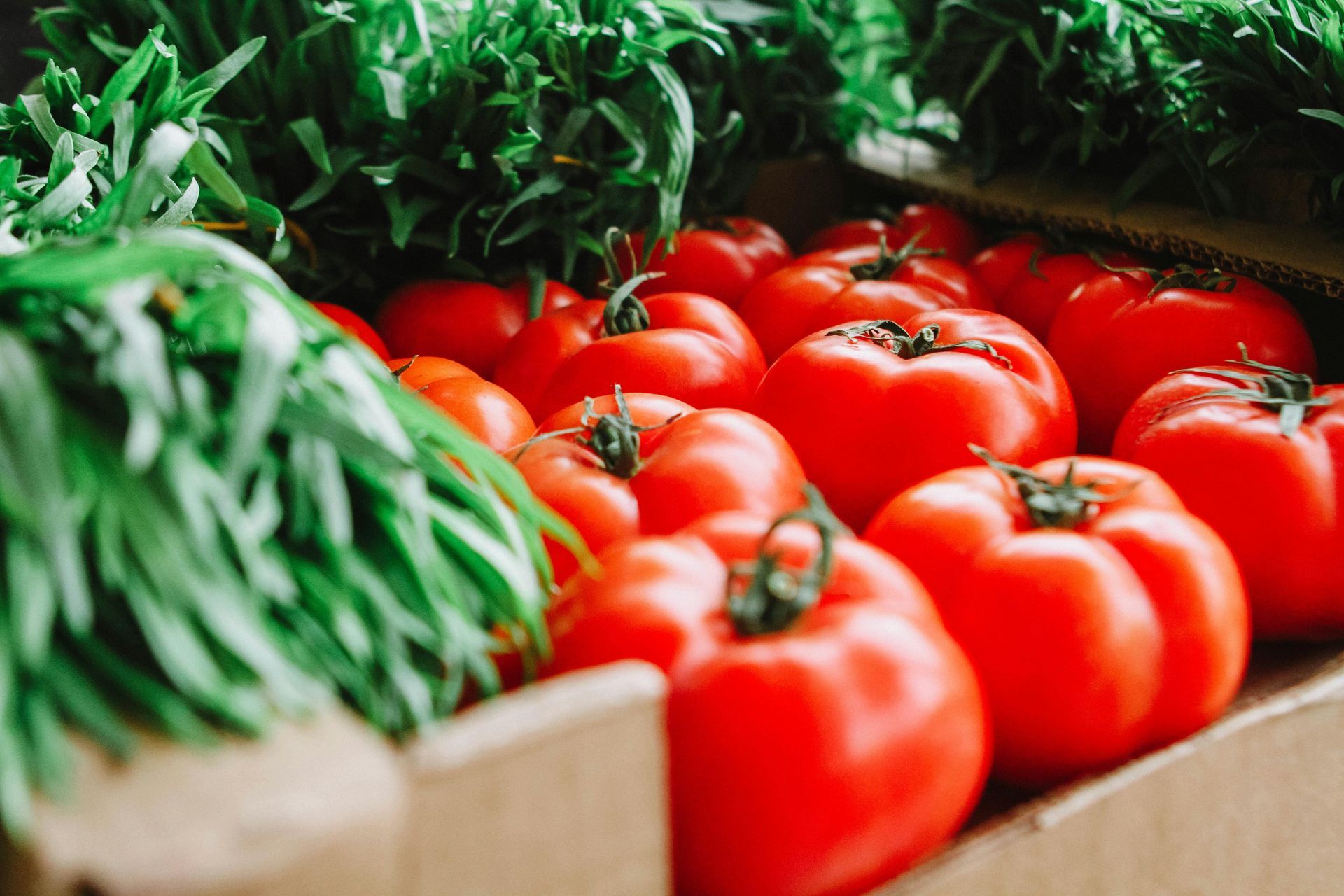 A box filled with lots of tomatoes and greens.