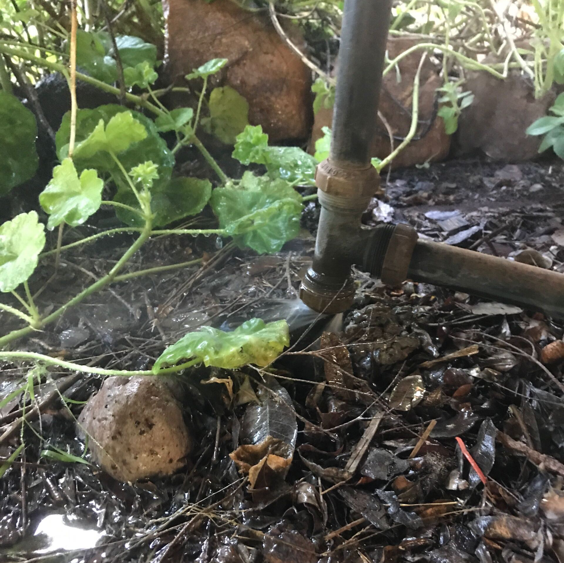 A leak in a joiner under a house causing a hissing sound.