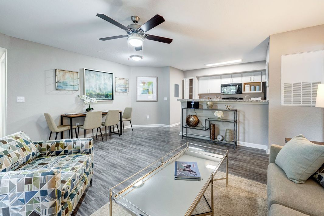 Living room with dining area and open kitchen, gray floors and walls, furnished with sofa and patterned armchair.