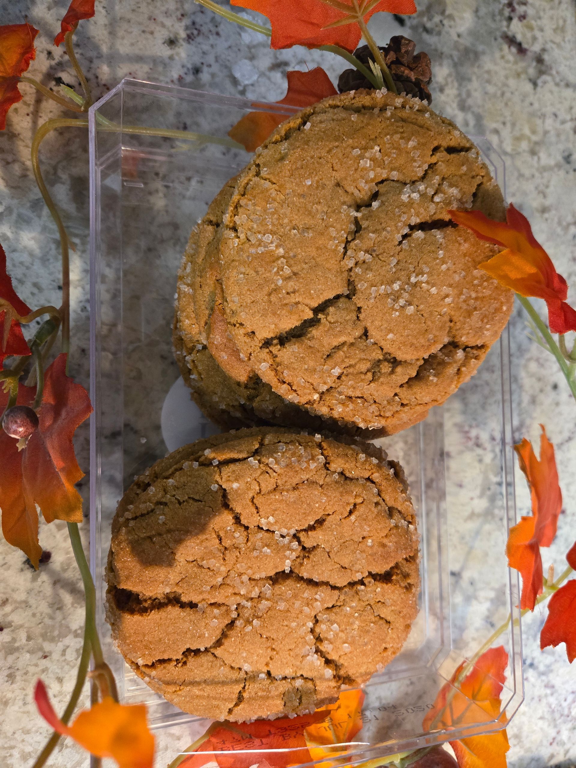 Round Gingerbread Cookies