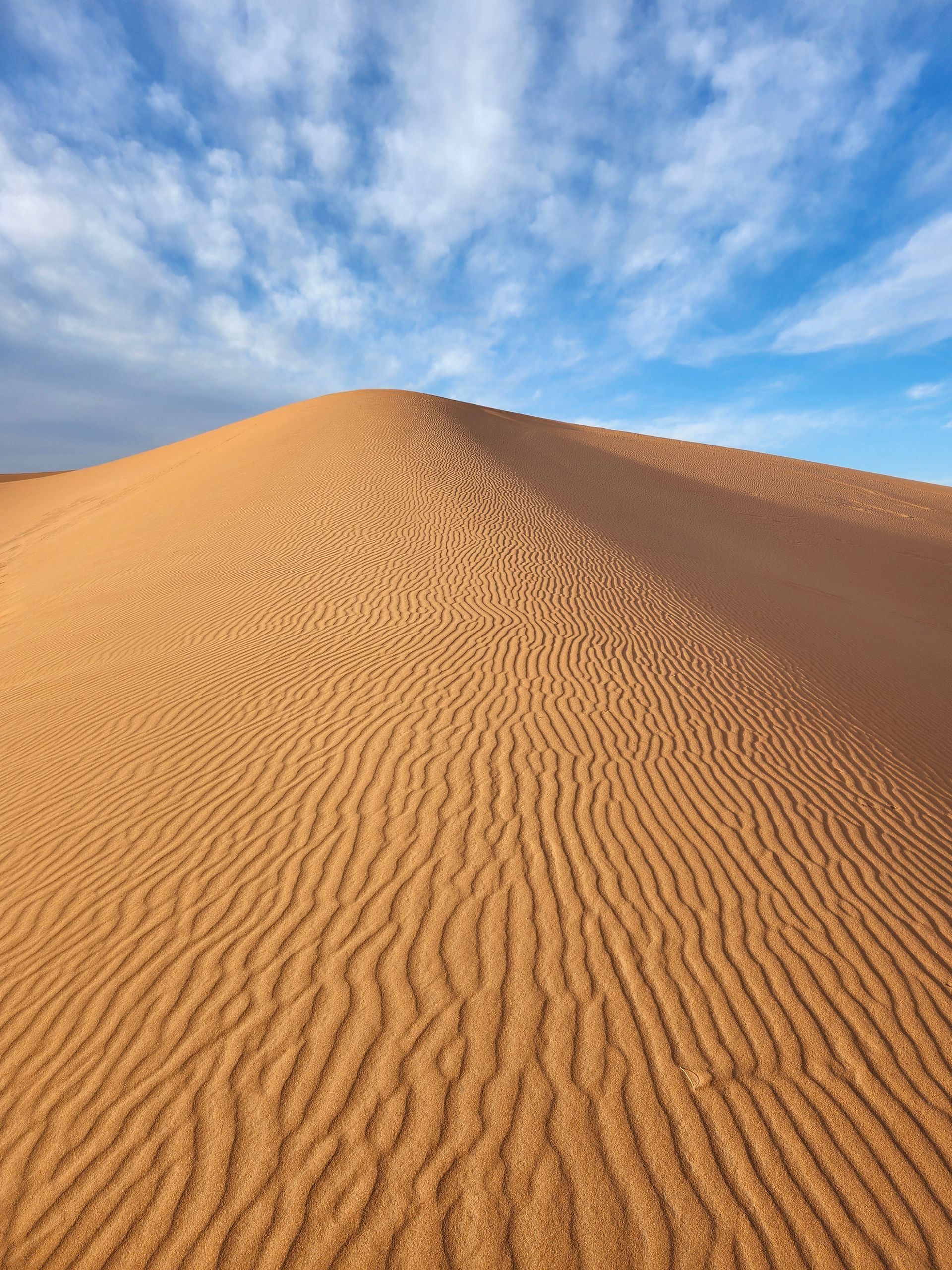 A sand dune in the desert with a blue sky in the background