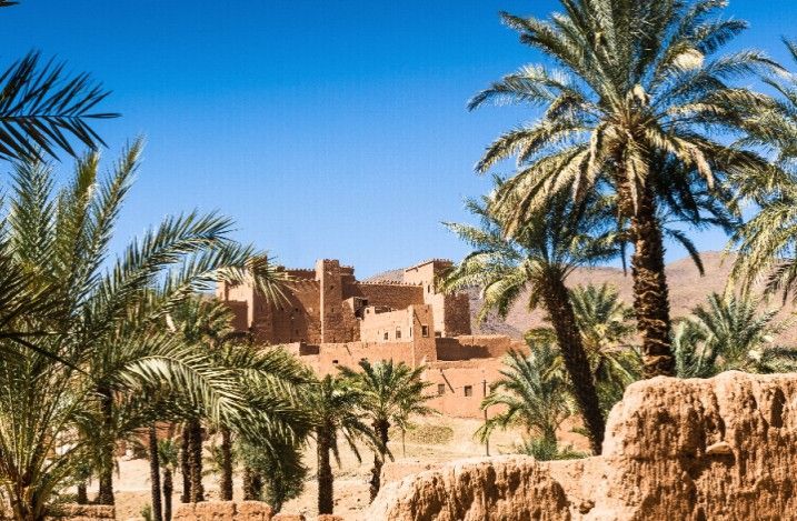 A castle is surrounded by palm trees in the desert.
