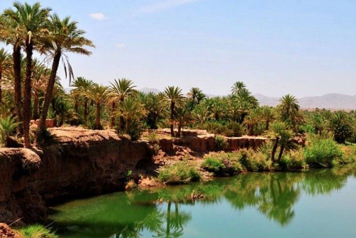 A lake surrounded by palm trees and rocks with mountains in the background