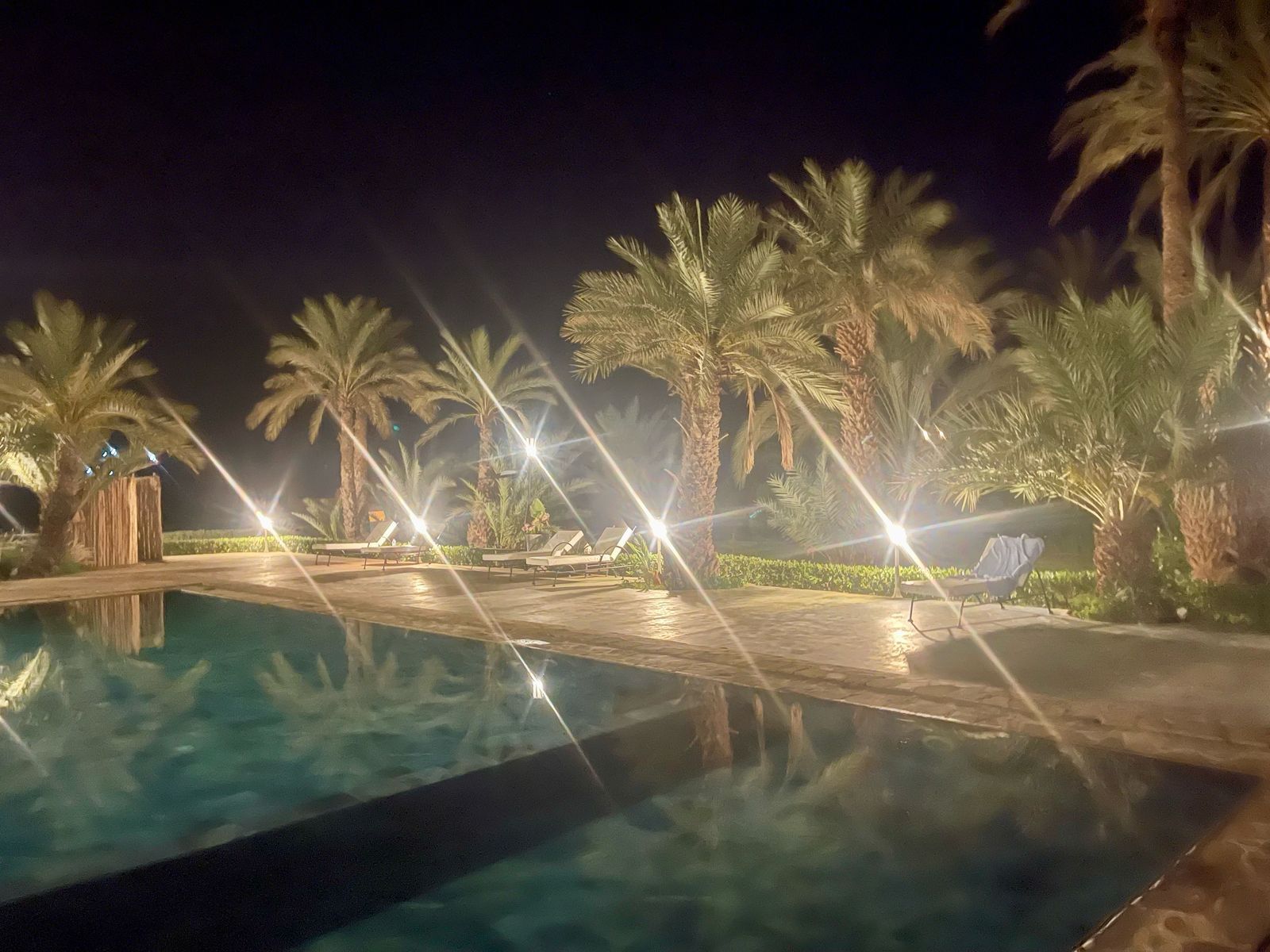 A swimming pool is lit up at night with palm trees in the background
