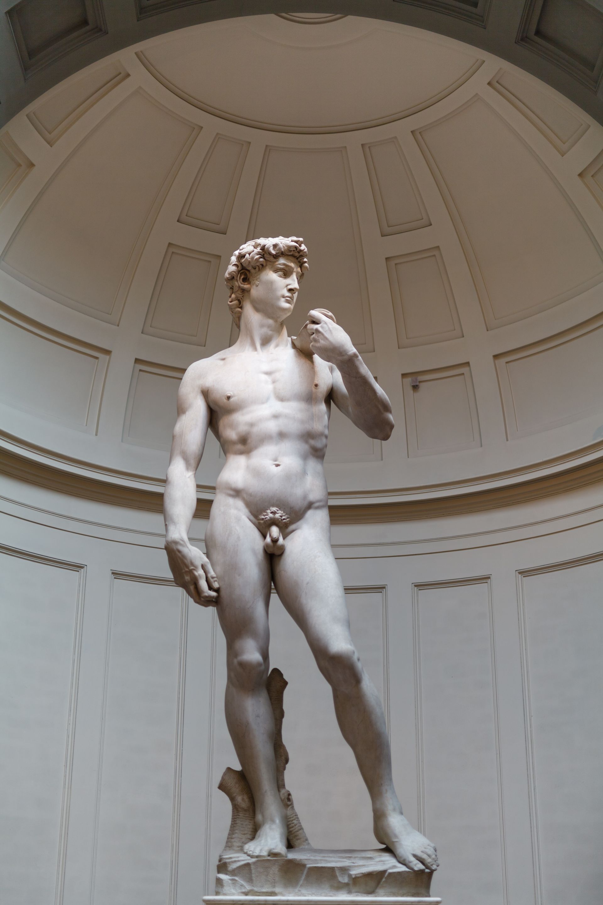 Michelangelo's David statue in a white-walled room with a domed ceiling.