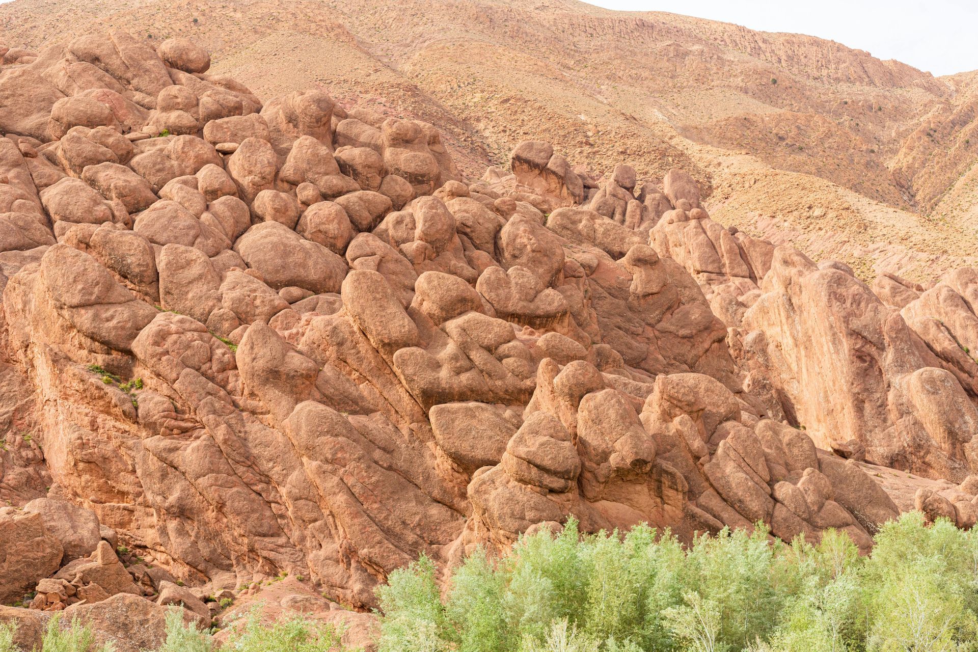 A close up of a rocky hillside with trees in the foreground.