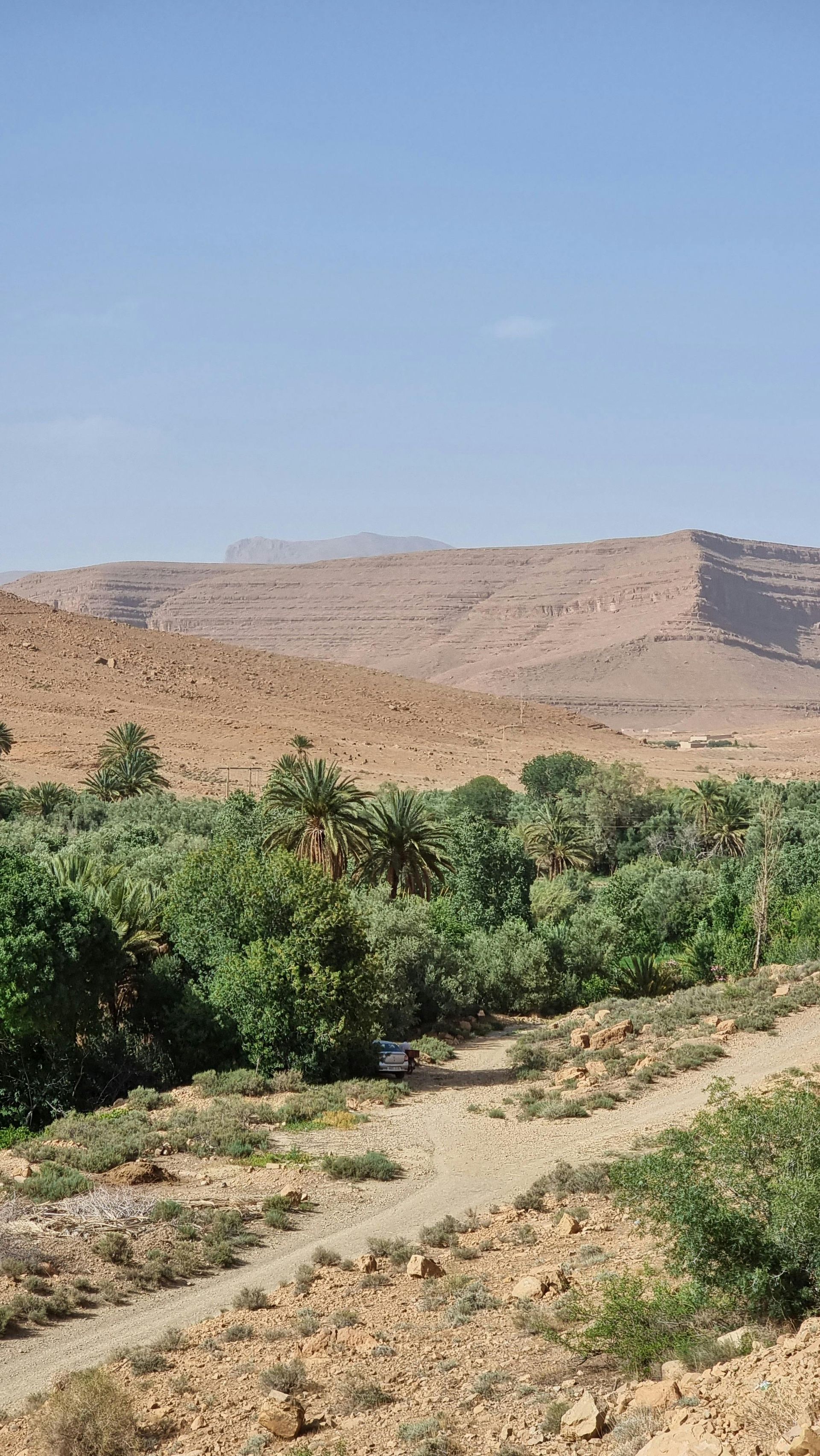 A dirt road in the middle of a desert with mountains in the background.