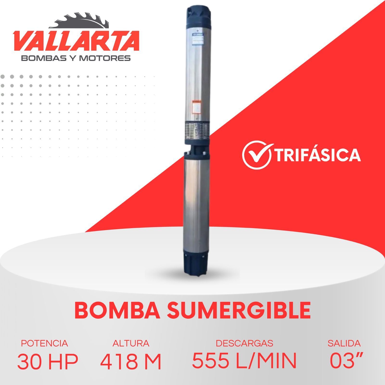 VALLARTA BOMBAS Y MOTORES