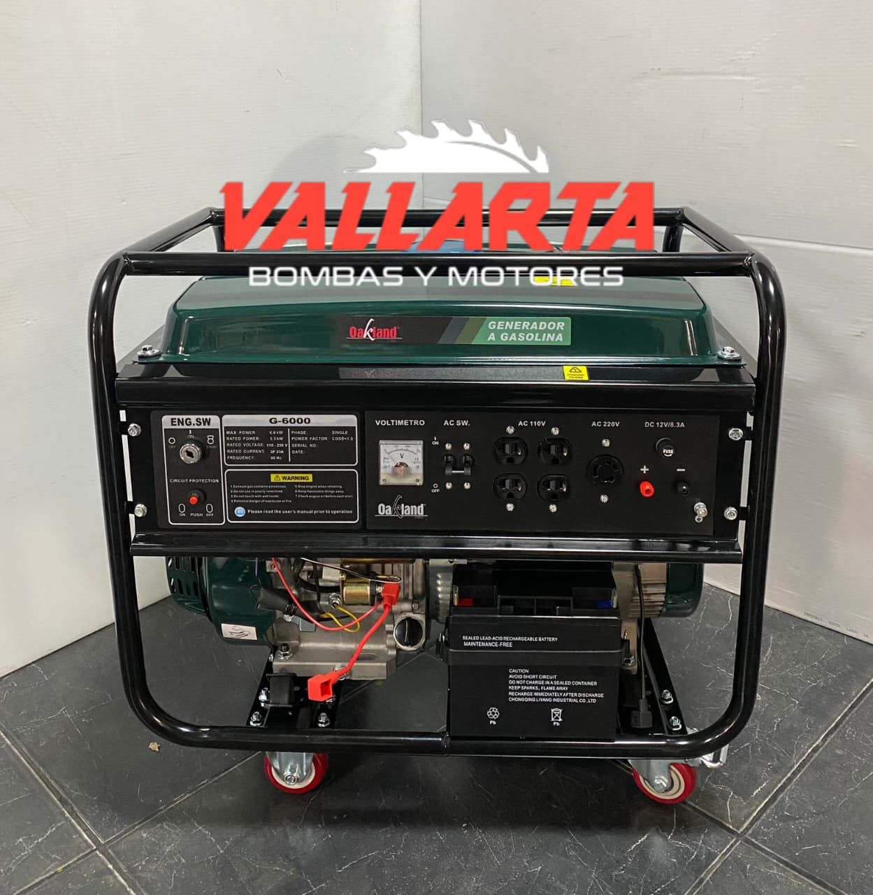 VALLARTA BOMBAS Y MOTORES