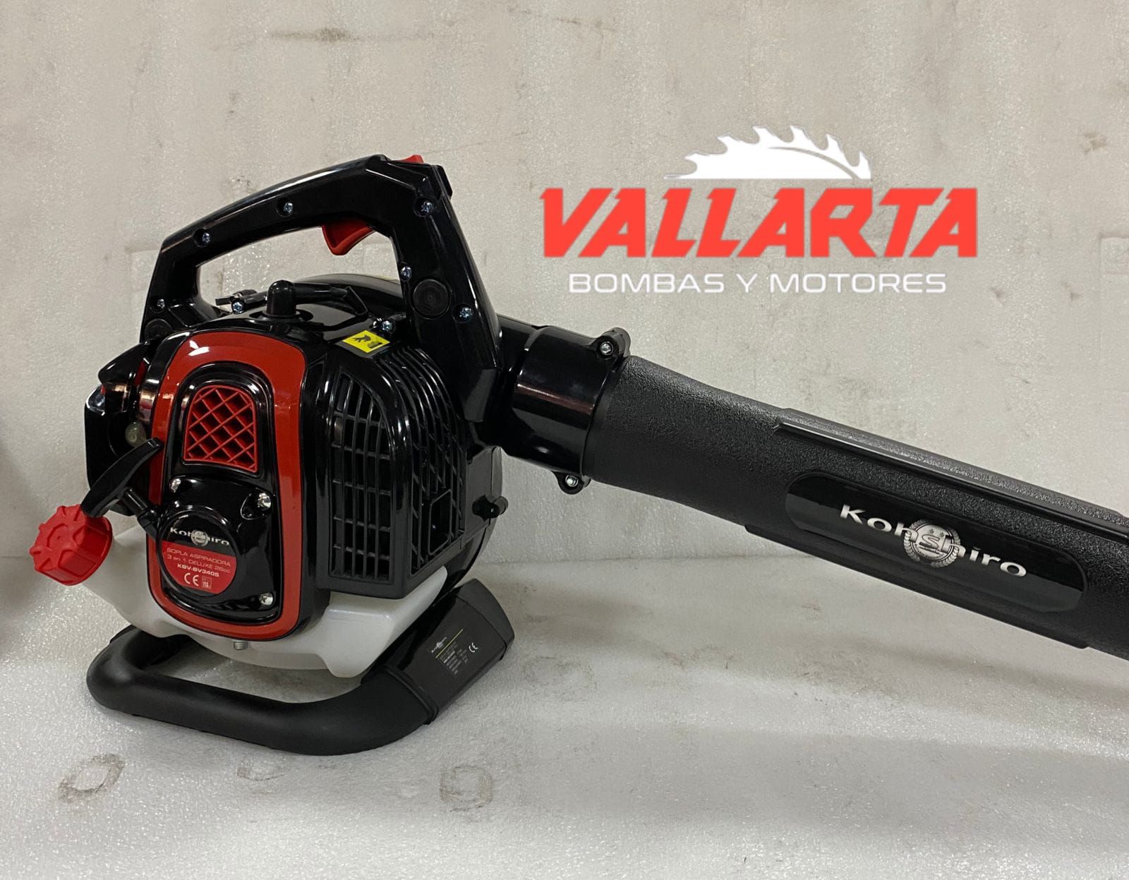 VALLARTA BOMBAS Y MOTORES