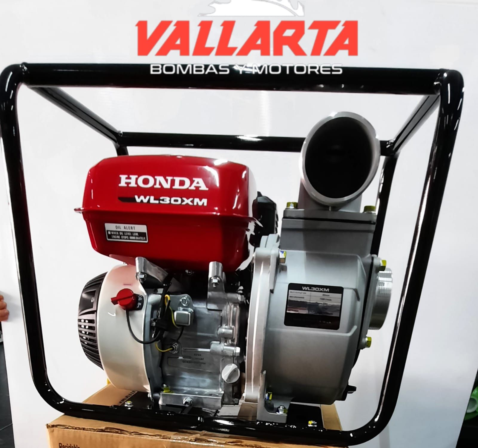 VALLARTA BOMBAS Y MOTORES