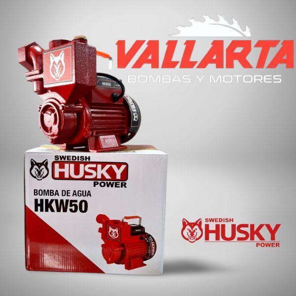 VALLARTA BOMBAS Y MOTORES