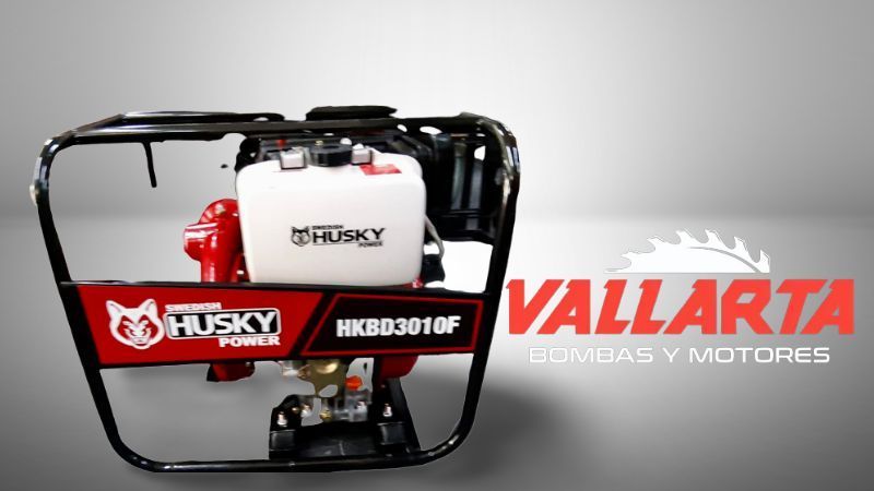 VALLARTA BOMBAS Y MOTORES