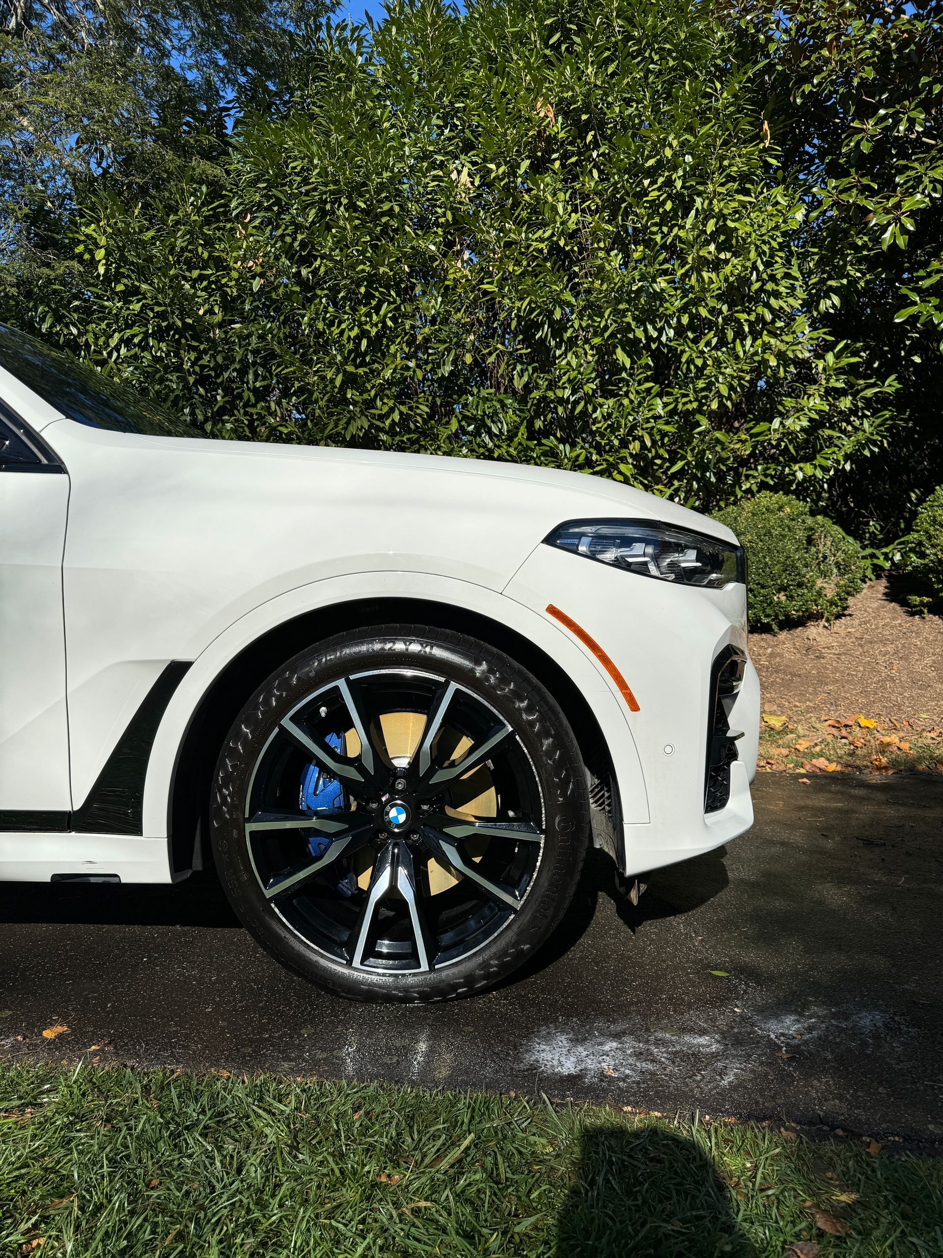 we offer premium bmw exterior wheel detailing 
