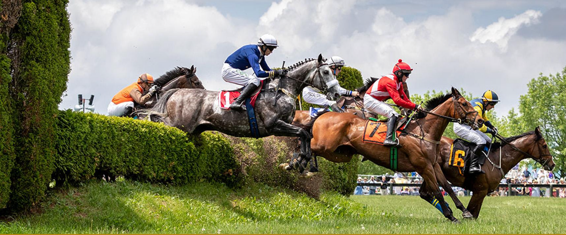 This iconic steeplechase event, celebrating its 88th running, is one of the premier fall races.