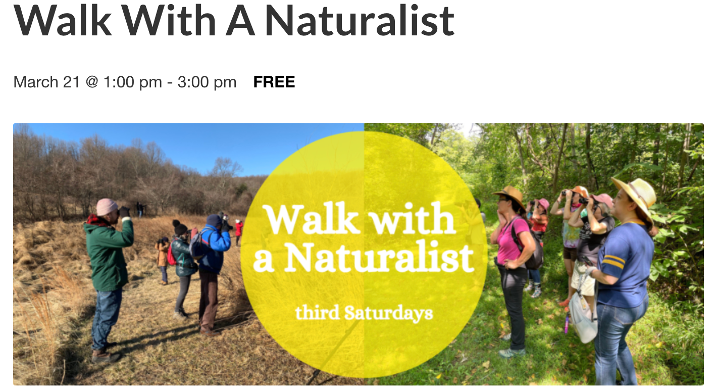Walk with a Naturalist at the Clifton Institute 